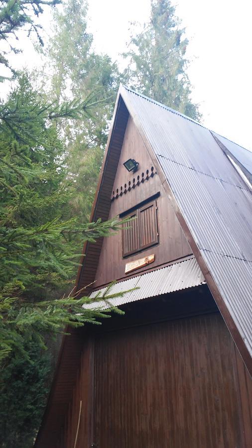 Krasnal Chalet Juszczyn
